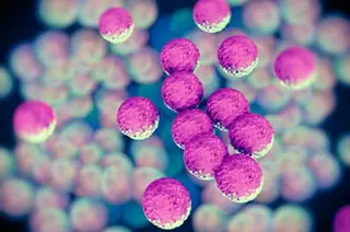 MRSA